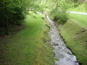 A narrow stream running through a grassy area with trees on either side.