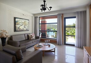 电视、DVD 播放器