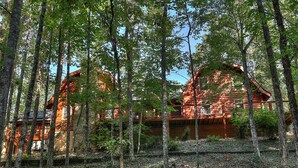 A rustic cabin surrounded by tall trees in a forest.