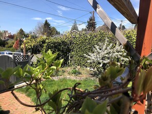 Property grounds - Seattle's Hippest Music Home (Seattle)