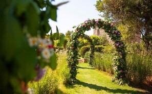 Property grounds - Treasure Island - Nine Bedroom Villa, Sleeps 20 (Karystos)