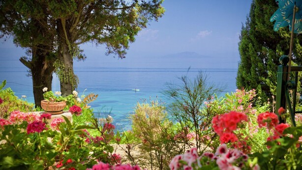 A garden with flowering plants and a view of the sea. - Empress Sissi - Seven Bedroom Villa, Sleeps 14 (Gastouri)