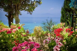 A garden with flowering plants and a view of the sea.