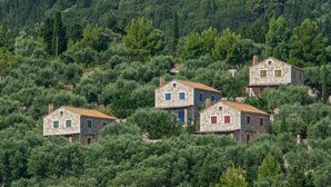 Un conjunto de casas de piedra con tejas rojas, ubicadas en una ladera rodeada de abundante vegetación.