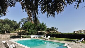 Une piscine entourée d’une terrasse en pierre, de chaises longues et de palmiers.