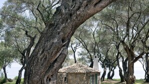 A stone building with a tiled roof, surrounded by large trees. - Chapel View - One Bedroom Villa, Sleeps 2 (Ionian Islands)
