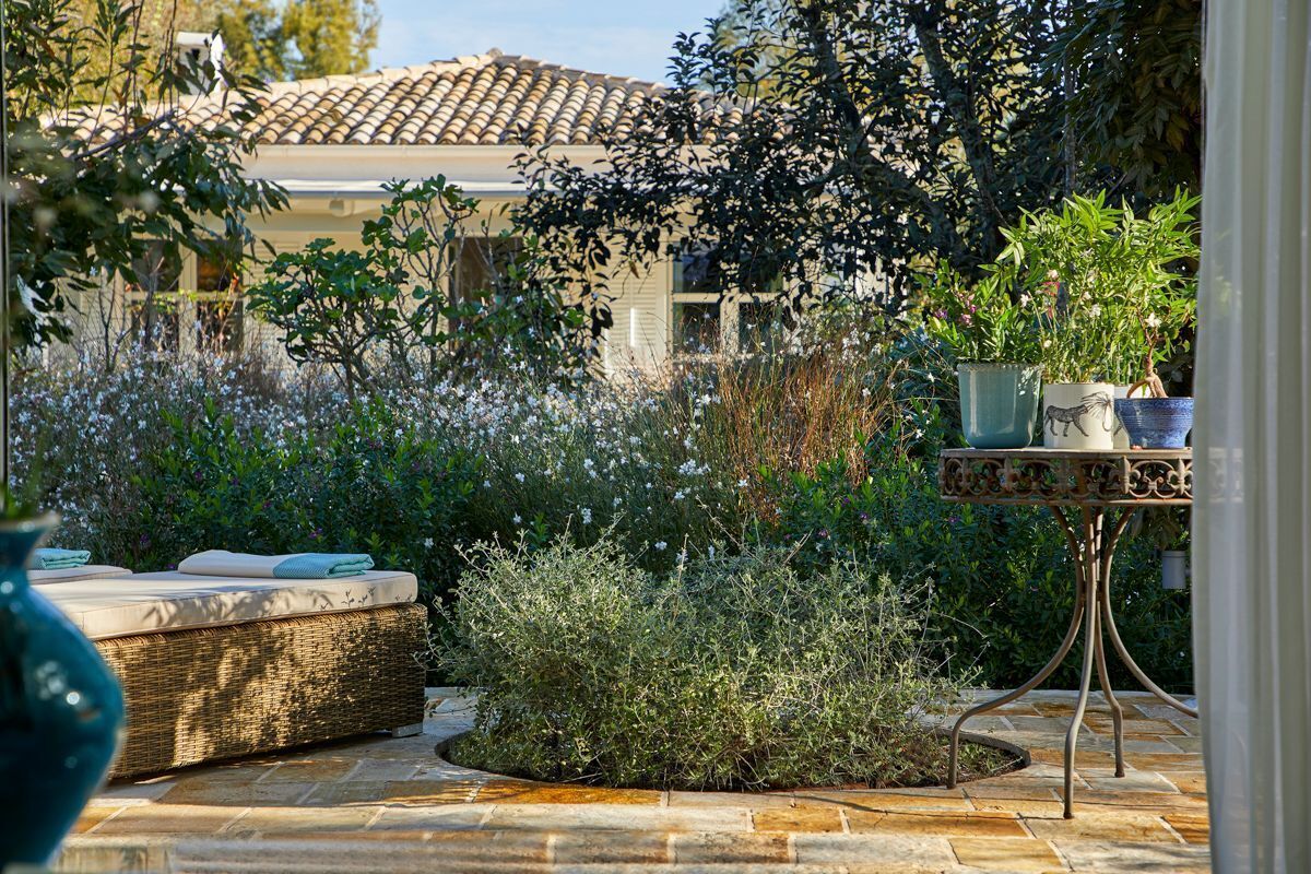 Eine Terrassenfläche mit einem Rattan-Sofa, einem kleinen Tisch mit Topfpflanzen und Blick auf ein Haus mit Ziegeldach.