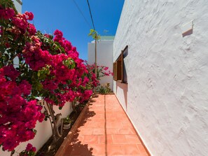 Detalle del exterior