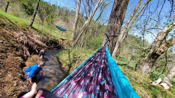 A hammock suspended between trees over a stream, with people relaxing on it. - Private/Between PF & Knox/DOG friendly/creek/large yard (Seymour)