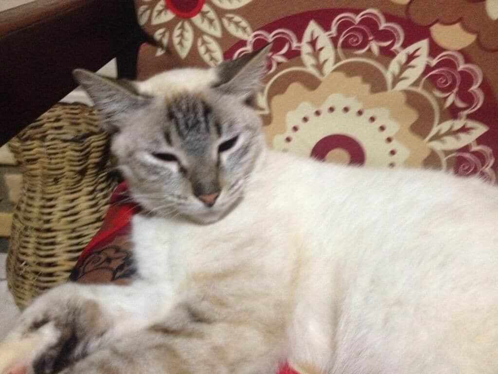 Photo - Pousada Mar e Sol