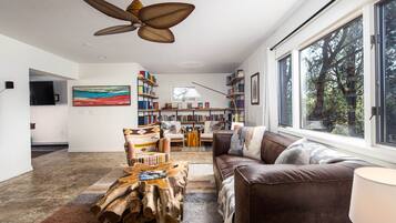 TV connectée, cheminée, livres, chaßne hi-fi