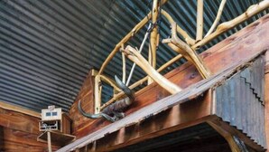 Eine rustikale Holztheke mit einem einzigartigen Geweih-Design an der Decke, eine Arbeitsfläche mit verschiedenen Gegenständen und Blick in den Küchenbereich.
