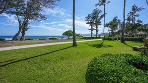 A well-maintained grassy area with a pathway leading to a beach, surrounded by tall palm trees and a clear view of the ocean. - View Beachfront, Split AC, Pool Hot Tub, 1st Floor (Kapaa)