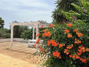 Terraza o patio