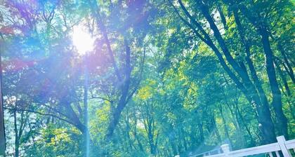 ★Forest and River Side Tranquil House★