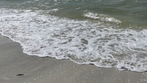 Une plage où les vagues viennent doucement lécher le rivage sous un ciel dégagé.