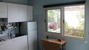 Een kleine keuken met witte kastjes, een roestvrijstalen spoelbak en een raam met uitzicht op een balkon met plantenpotten.
