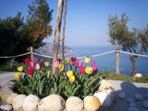 Property grounds - - Gli Orizzonti di Agata - Villa with a wide view of the sea - TULIPANO - (Mattinata,)