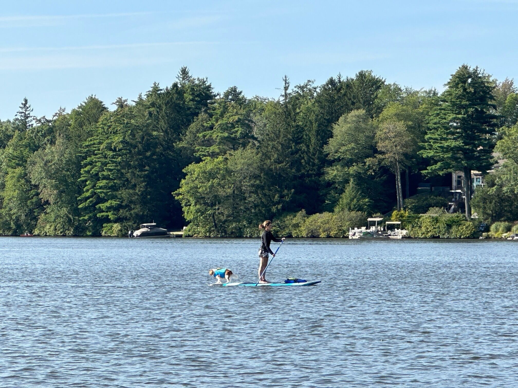 Eine Person steht auf einem Paddleboard auf einem ruhigen See, im Hintergrund ein dicht bewaldeter Wald.