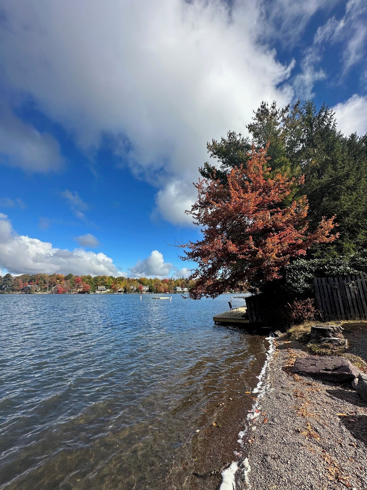 Blick auf einen See mit einem hölzernen Steg, der sich ins Wasser erstreckt, umgeben von herbstlich gefärbten Bäumen und einem klaren Himmel.