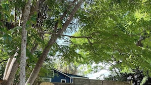 A fenced backyard with a gravel driveway, a wooden fence, and a blue building in the background.