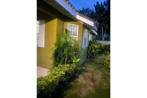 A building with a yellow exterior, a window with a white frame, and a small garden area with various plants.