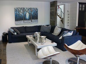 智能電視、壁爐、DVD 播放機、書籍