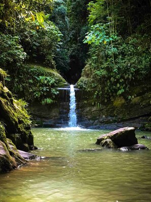 Pool - Apartamento Mafi - House (Tarapoto)