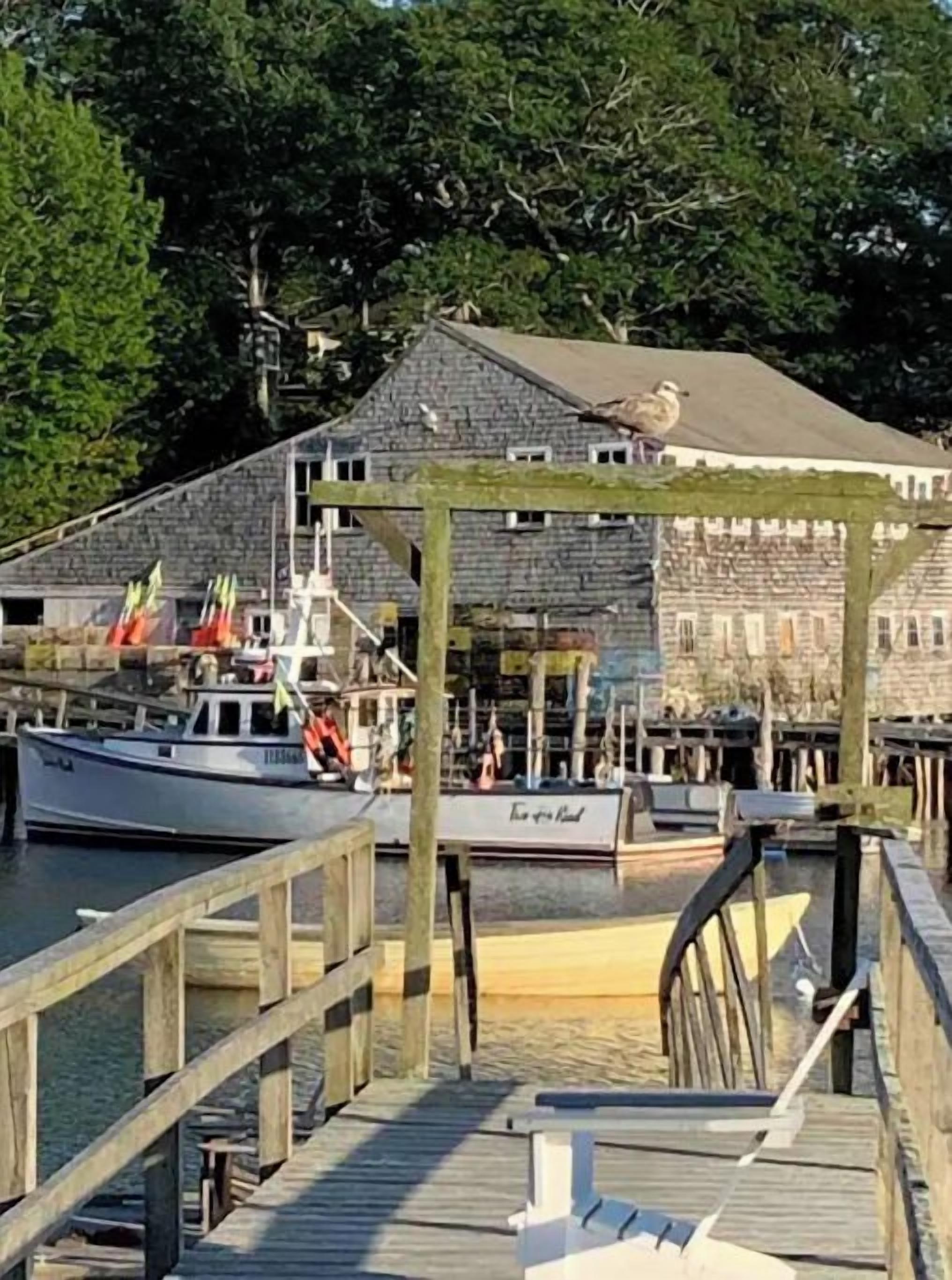 Marina