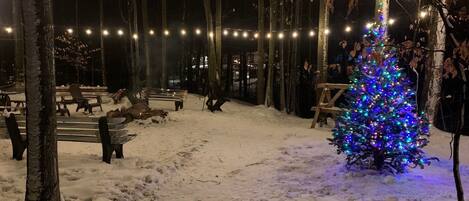 Áreas de la propiedad