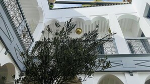 Un cortile con un albero, pareti bianche e cielo sereno.