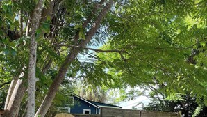 A fenced backyard with a gravel driveway, a wooden fence, and a blue building in the background. - Old Town "Gem", Near Historic Downtown Saint Augustine (St. Augustine)