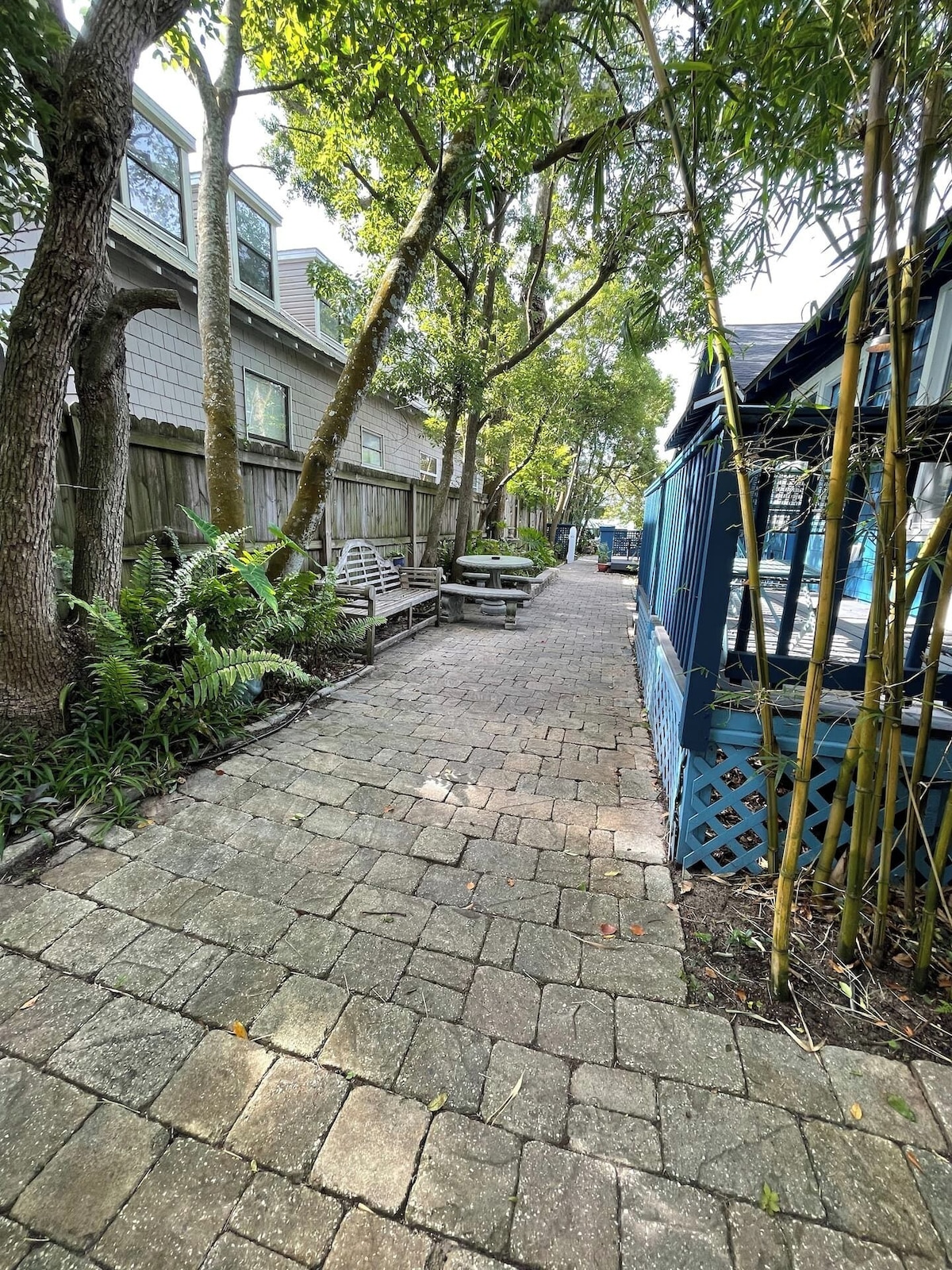 Photo 19 of Old Town "Gem", Near Historic Downtown Saint Augustine