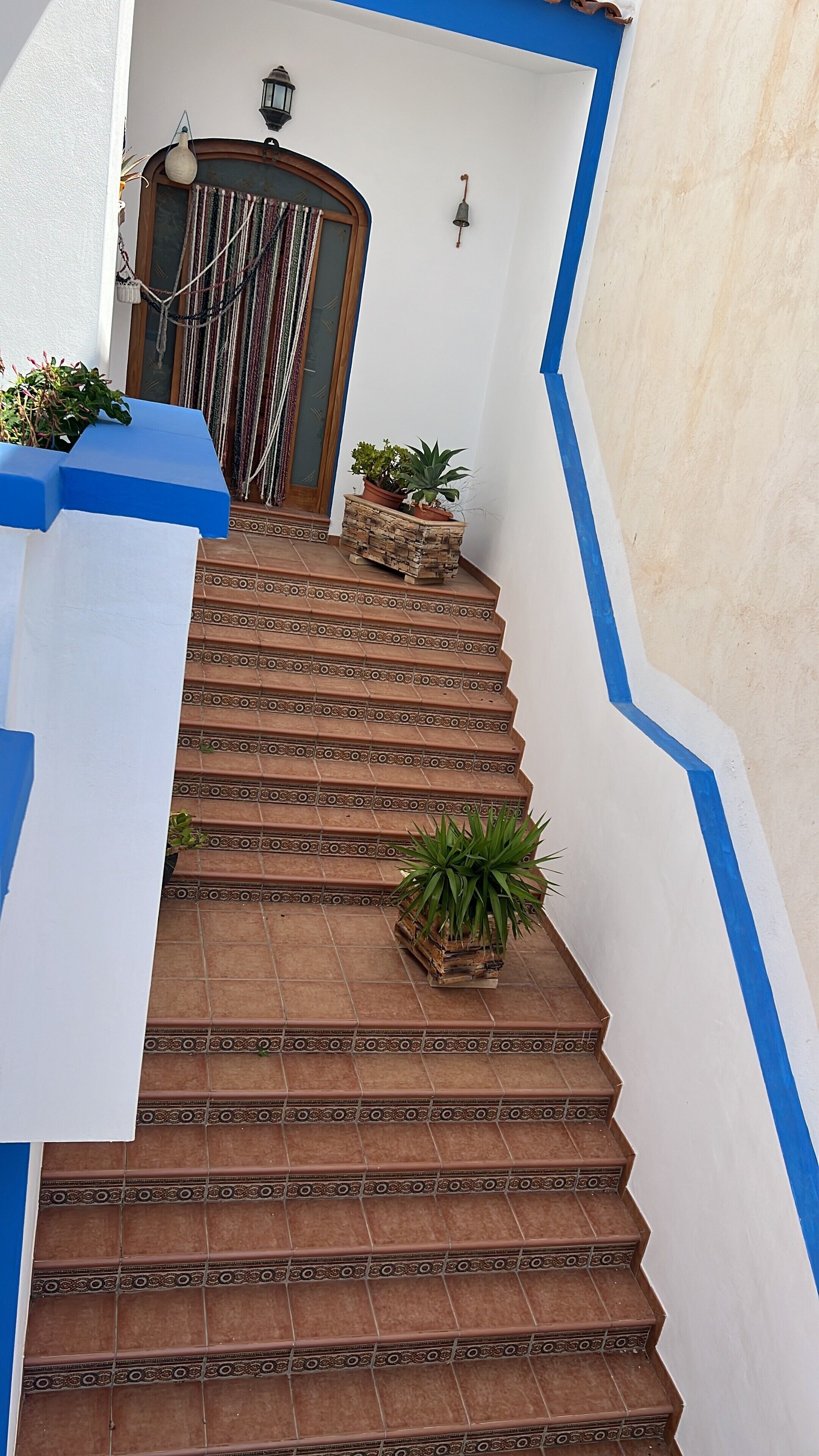 Una escalera con baldosas estampadas, plantas en macetas y una puerta con un cortinero decorativo.
