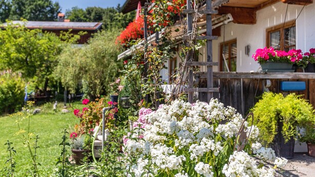 Una casa de madera con balcón, rodeada de exuberante vegetación y plantas en flor.