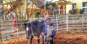 Miscellaneous - Holiday Apartment '6 & 7' with Open Terrace and Wi-Fi (Burghaslach)