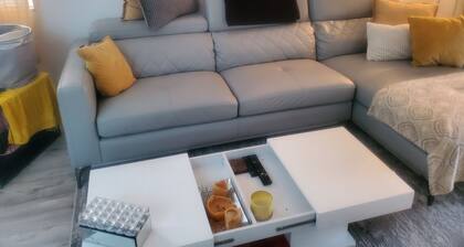 Chic Upscale duplex in the heart of the city