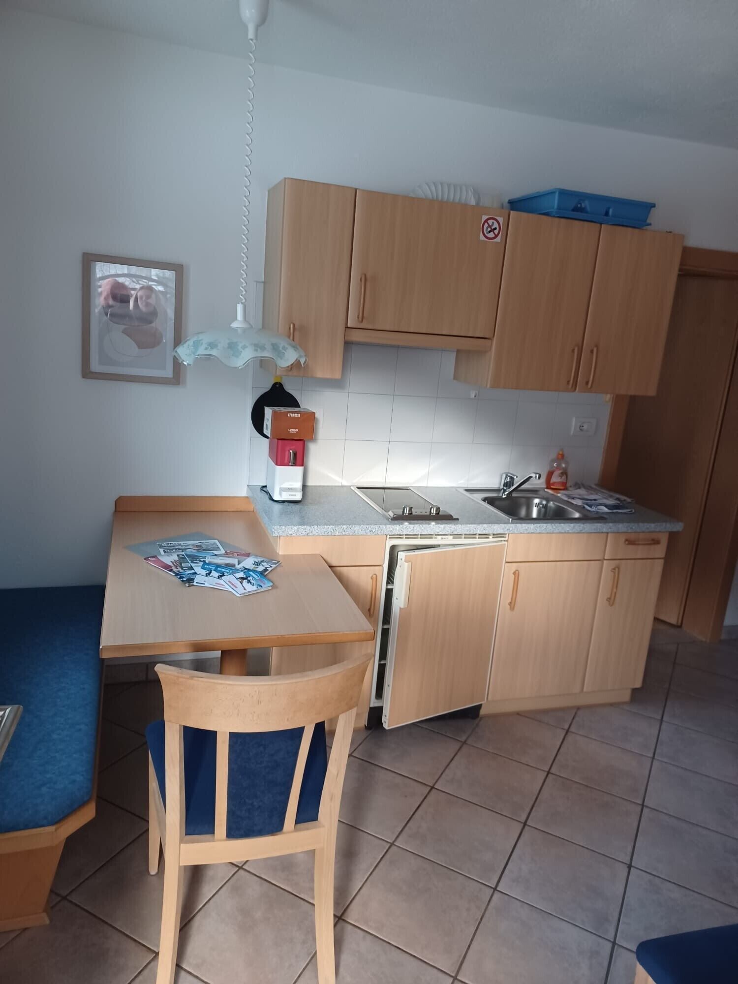 Kühlschrank, Mikrowelle, Herdplatte, Geschirrspüler