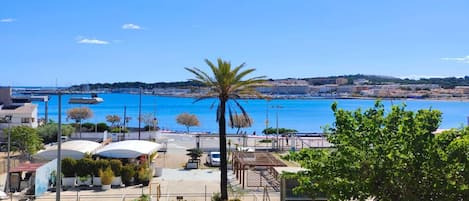 A coastal view with a marina, a palm tree, and a playground area with slides and potted plants.