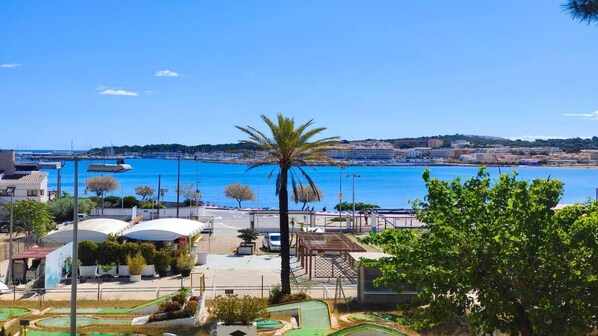 A coastal view with a marina, a palm tree, and a playground area with slides and potted plants.