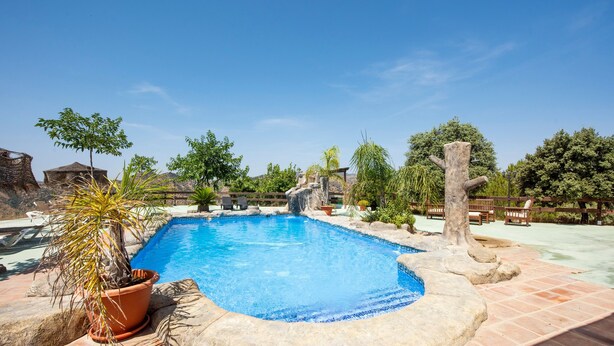 Una piscina con borde de baldosas, rodeada de árboles y una valla de madera.
