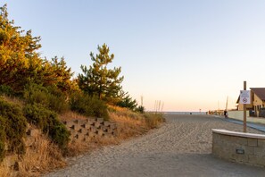 On the beach