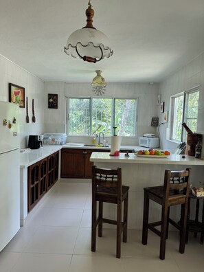 Fridge, microwave, oven, coffee/tea maker - Hope Villa (nizao)