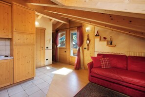 تلفزيون، مدفأة