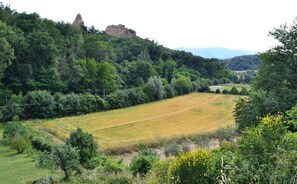 Miscellaneous - Nice apartment for 2 guests with WIFI, TV, patio and pets allowed (Reggello)