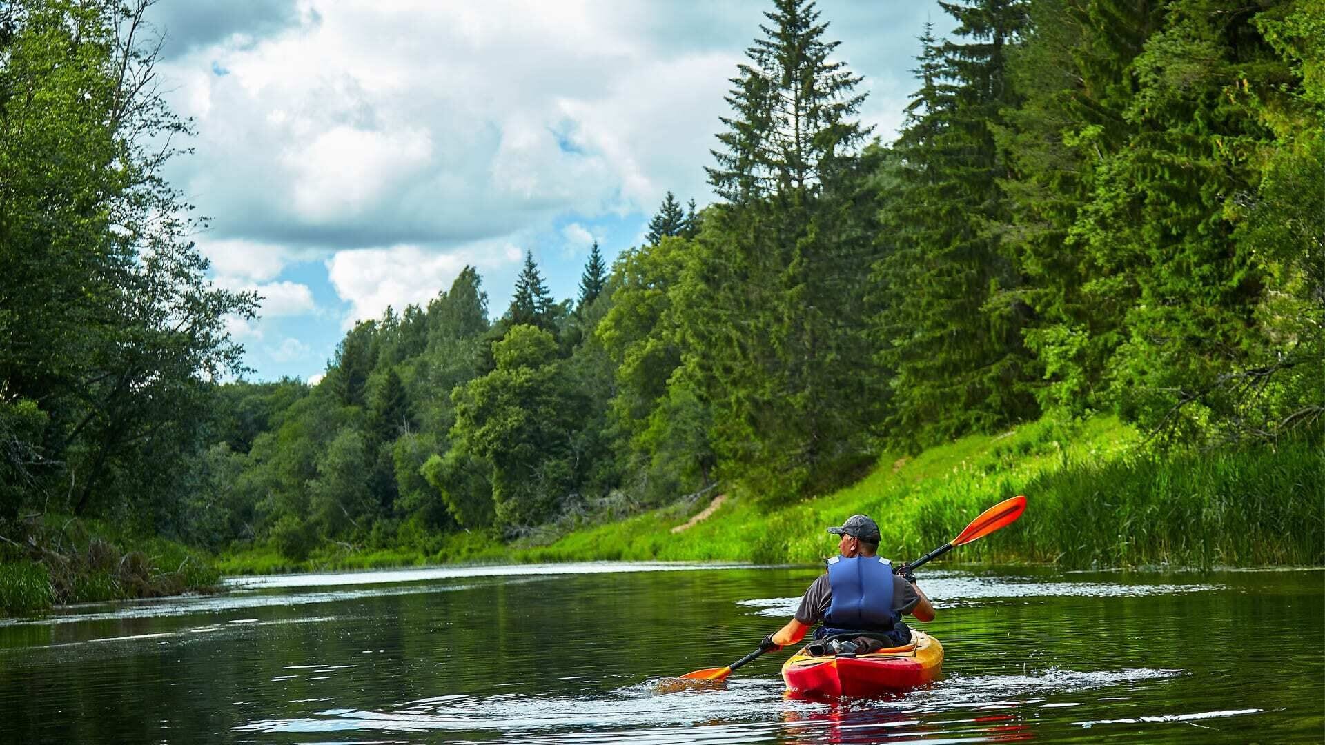 Un kayakista en un kayak rojo en un río rodeado por un bosque denso.