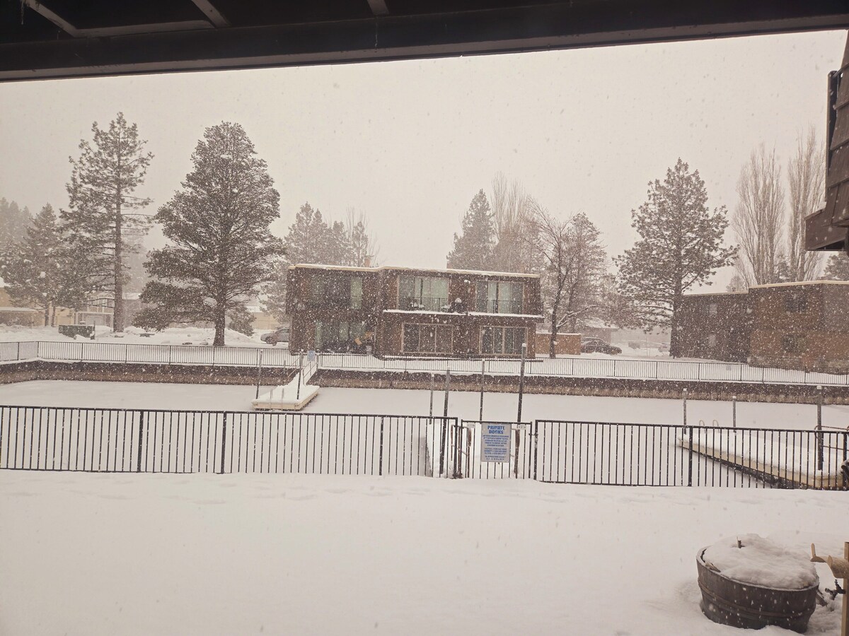 Imagen de perfil del propietario o de la propietaria