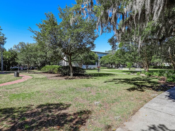 A park with trees, a bench, and a building in the background.
