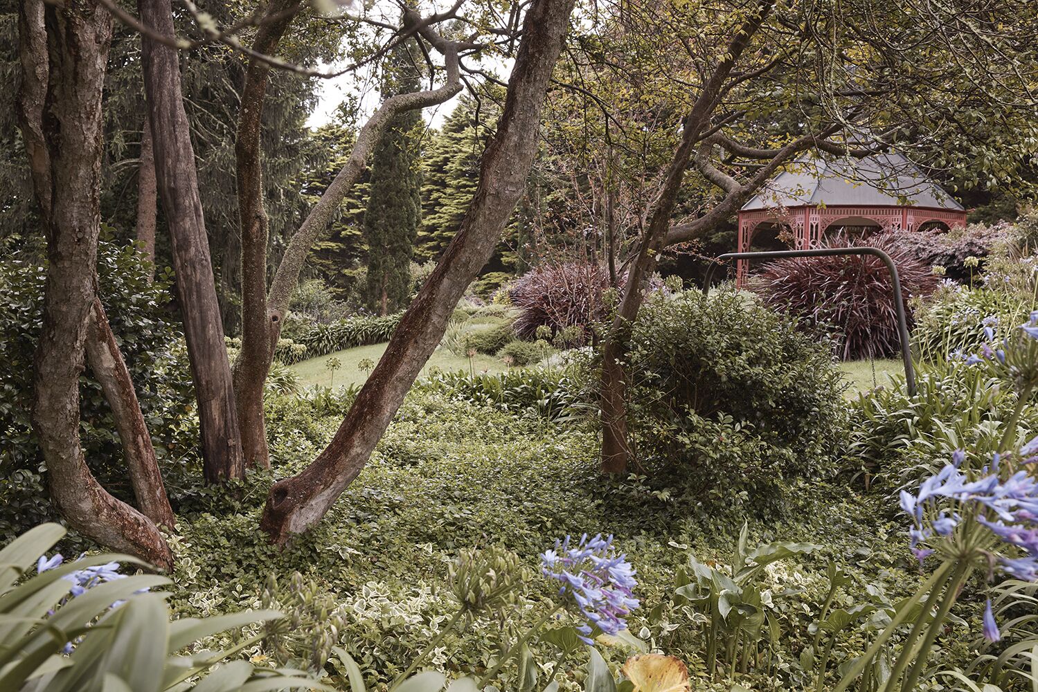 A garden with a gazebo, dense foliage, and various plants.