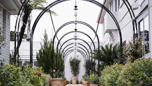 Um caminho ladeado por plantas em vasos e uma estrutura de arco de metal.